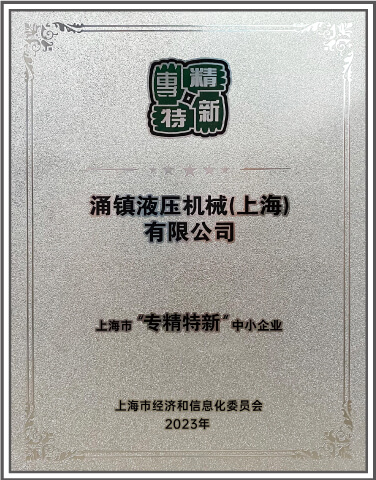 首次荣获上海市专精特新
