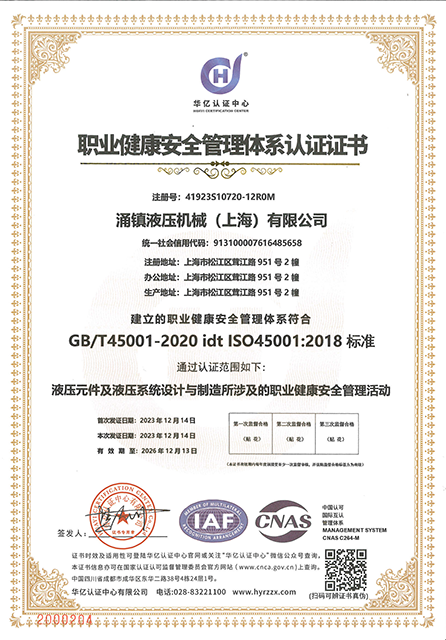 ISO 14005 职业健康安全管理体系-中文