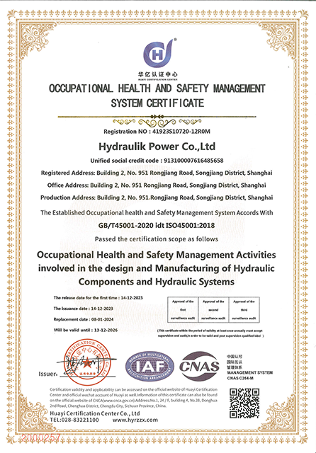 ISO 14005 职业健康安全管理体系-英文